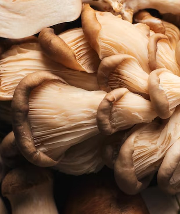 Shiitake and Maitake