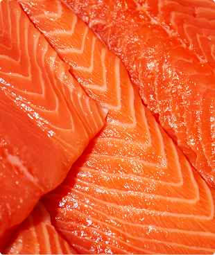 Wild Alaskan Salmon Oil