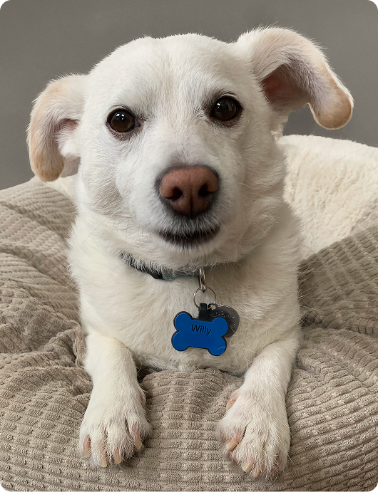 Science team with animals
