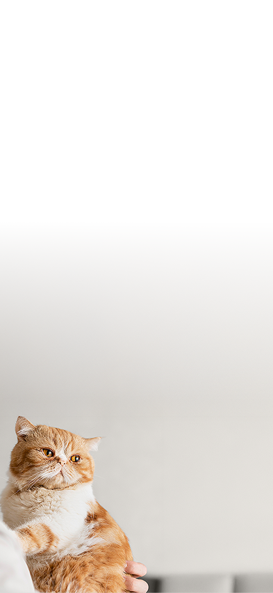 Cat representing science and wellness